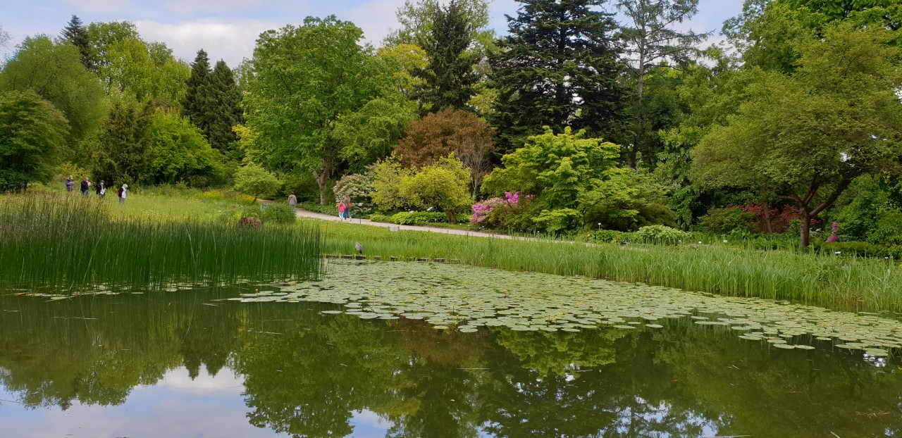 Botanischer Garten