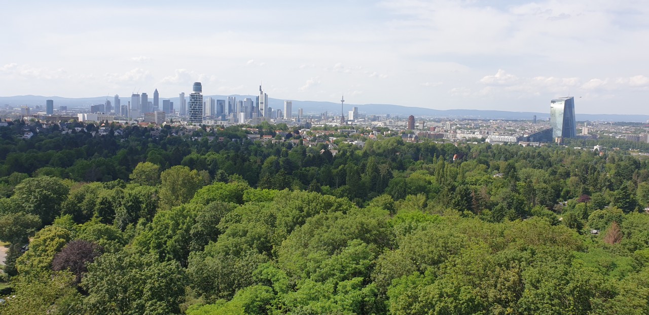 Blick vom Goetheturm