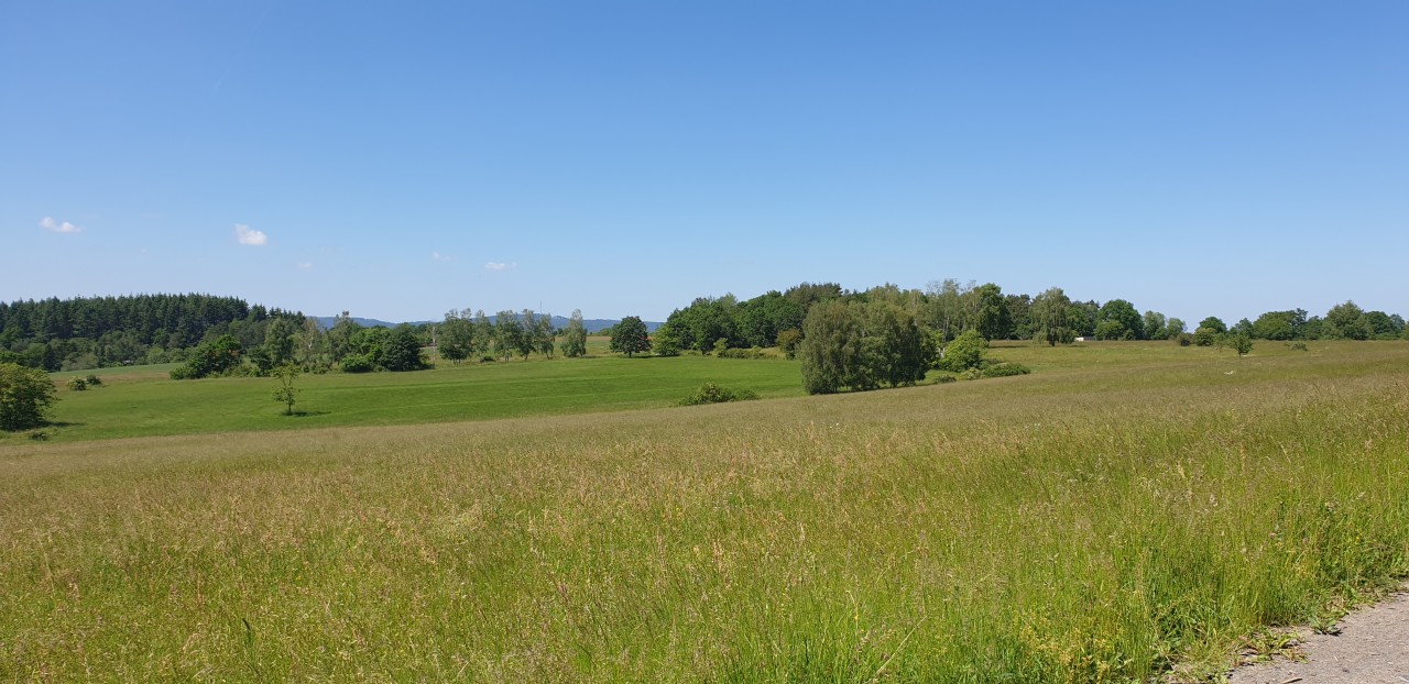 Haubergsgrund bei Pfaffenwiesbach